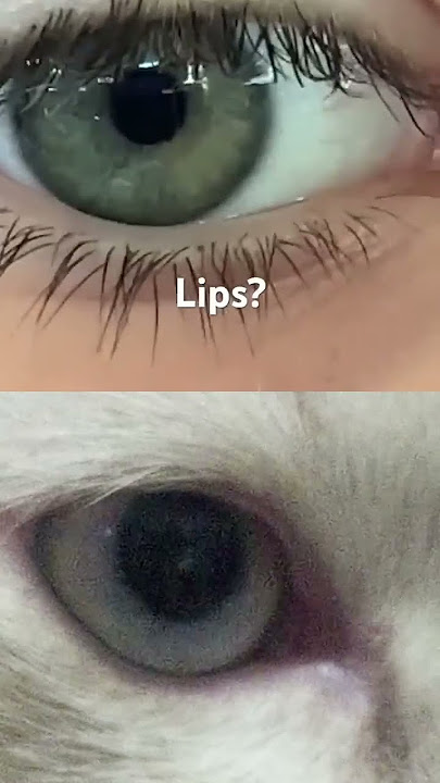 I love your lips😲#lips#eyes#funny#trend