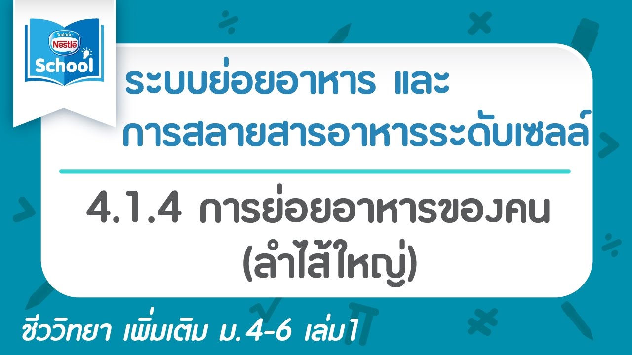 ความสำคัญของระบบย่อยอาหาร 2022 New 4.1.4 การย่อยอาหารของคน (ลำไส้ใหญ่)