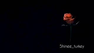 Download lagu SHINee From Now On Türkçe Altyazılı