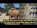 WAN PYN LEH KAI LUCKY DRAW MYNTA SNGI SHANE BORDER ASSAM PEIT,UMTYRNGA 