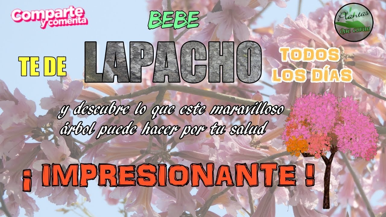 remedios naturales para la artritis Te de Lapacho Propiedades - Descubre los Miles de Beneficios del Lapacho para tu Salud -INCREIBLE!