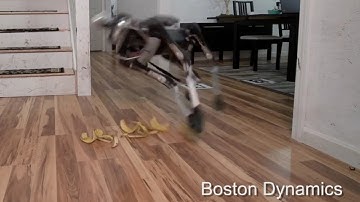 Boston Dynamics