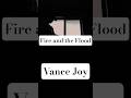 Fire and the Flood - Vance Joy #shorts #cover #acousticguitar #vancejoy