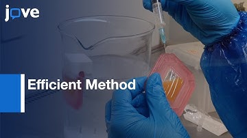 Efficient Method For Adenovirus Production l Protocol Preview