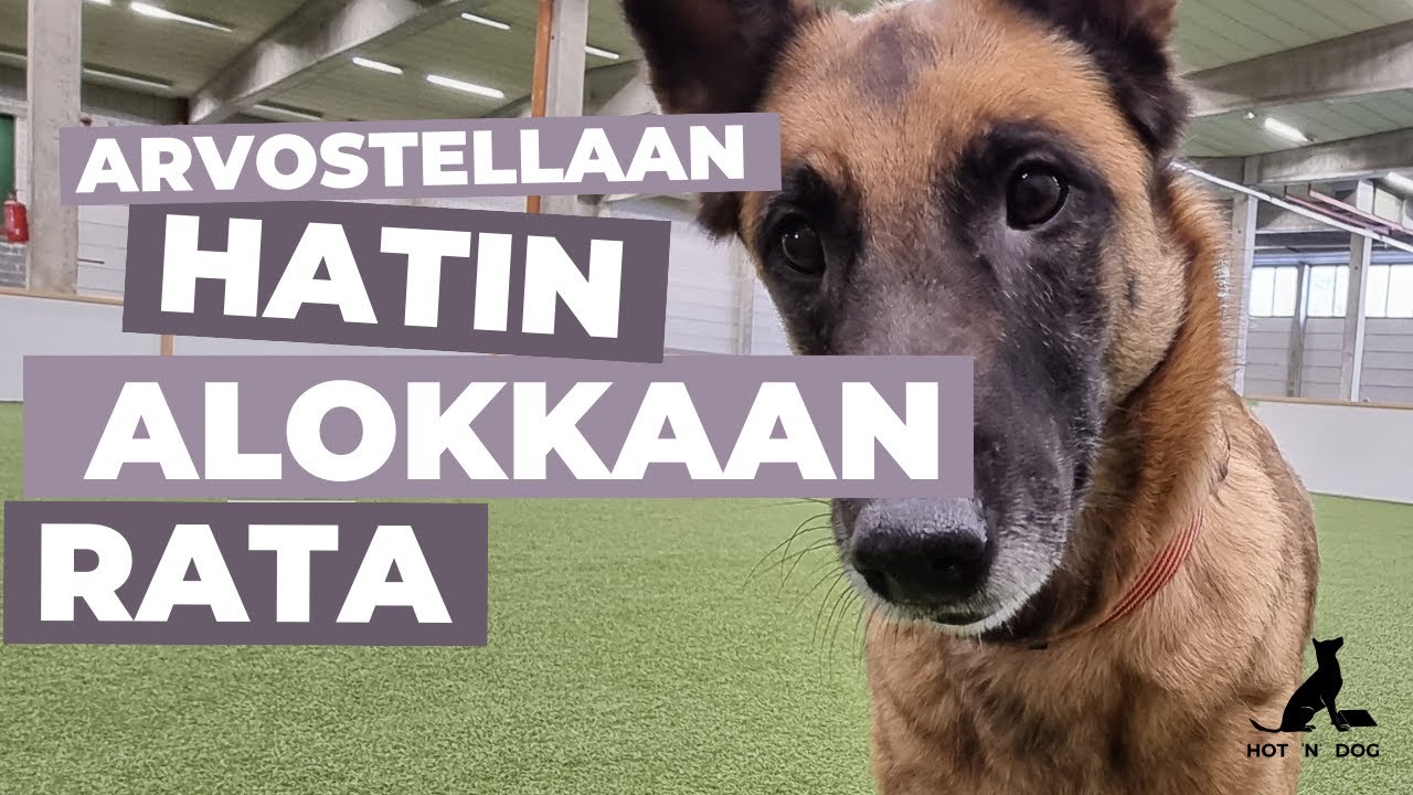 #2 Rally-tokon alokasluokan rata arvosteltuna | Hati