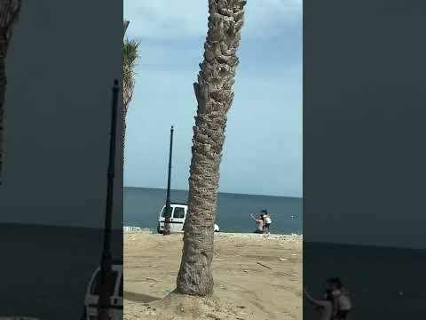 جولة في المنستير الاتجاه الى سقانص شاطئ النخيل 