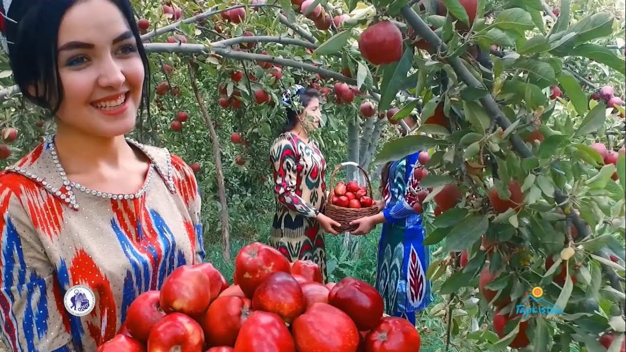 TAJIKISTAN IS A PARADISE OF THE SWEETEST FRUITS EVER IN THE WORLD/YOU GOT TO SEE THIS