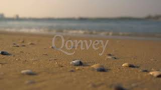 Beach sunset closeup of sea shells sand | Stock Video | Qonvey screenshot 2
