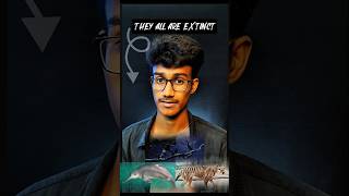 The last videos before extinct animals #shorts #facts