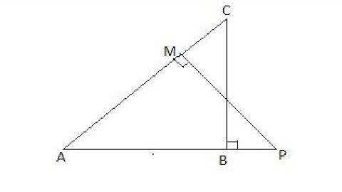 In Fig. 6.39, ABC and AMP are two right triangles, right angled at B and M respectively. Prove t