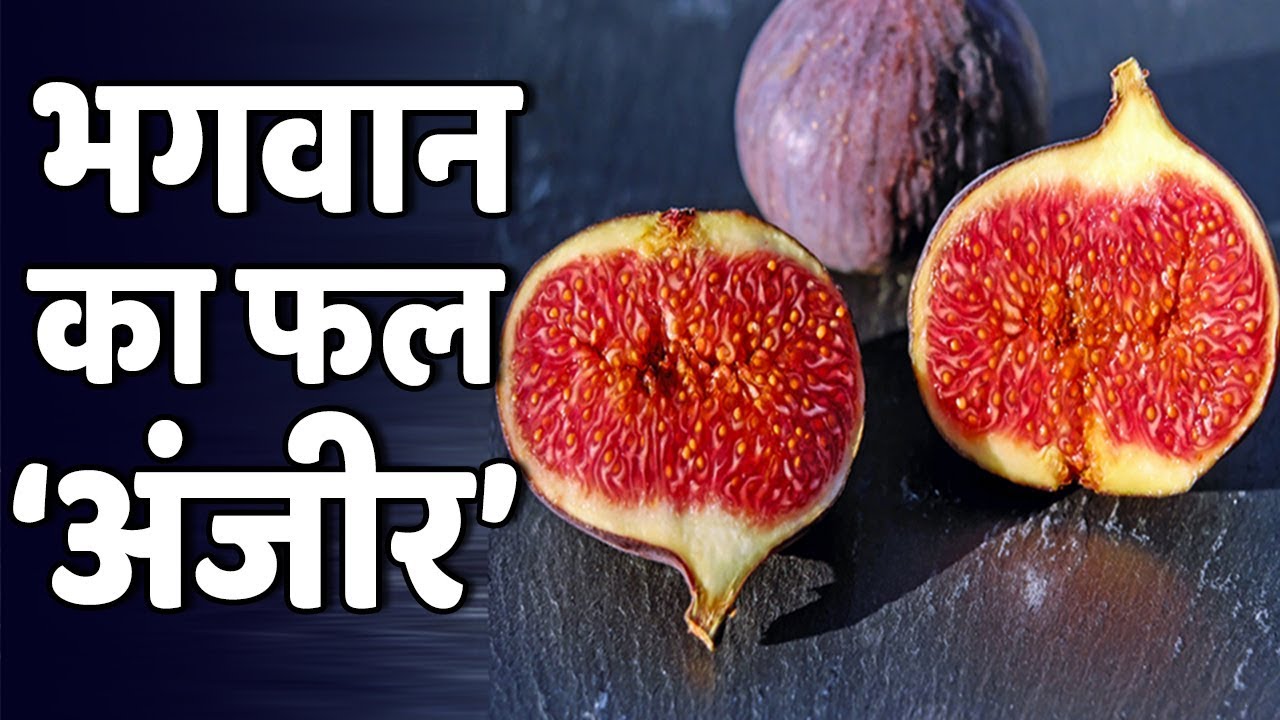 Figs यानी अंजीर को यूं ही नहीं कहते भगवान का फल, फायदे जान गए तो कभी भी