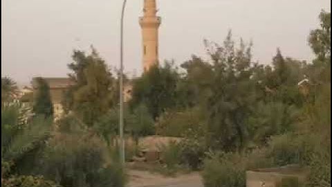 القارئ رياض المندلاوي  سورة الرحمن