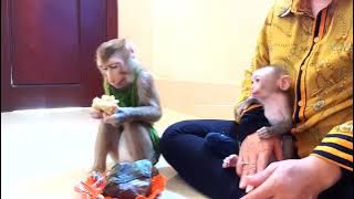 Smart Request Mom To Get Some Traditional Cake With His Adorable Toto 11