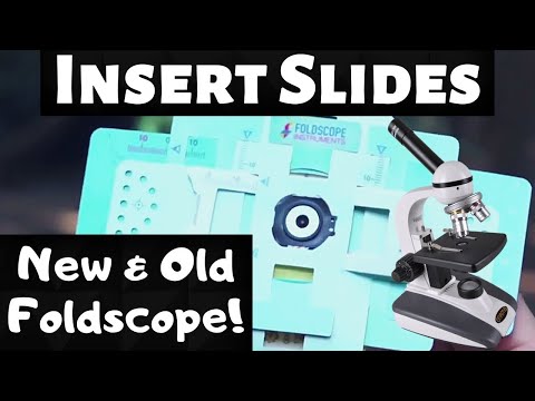 How to Insert a Microscope Slide into Foldscope