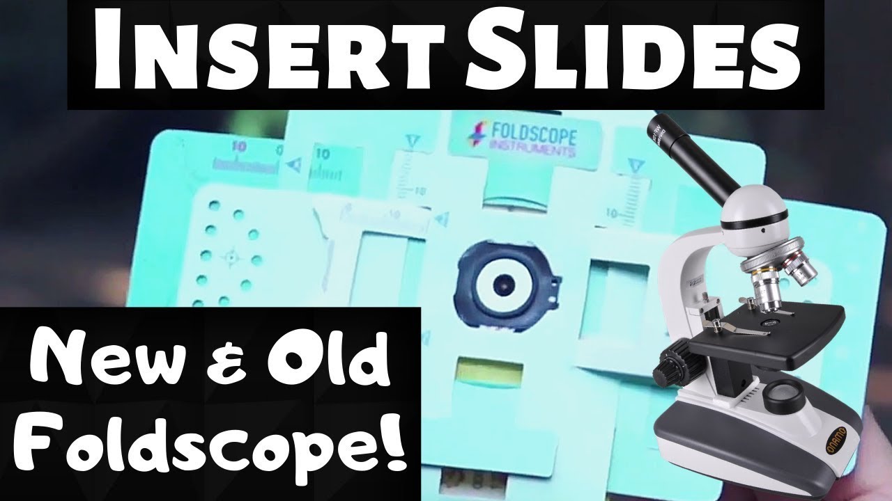 How to Insert a Microscope Slide into Foldscope YouTube