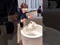 ※ネタバレ有り！超大人気展覧会がパワーアップして大復活
