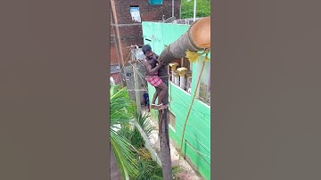 8610339350 tree cutter suyambu | Nagercoil tree cutting video