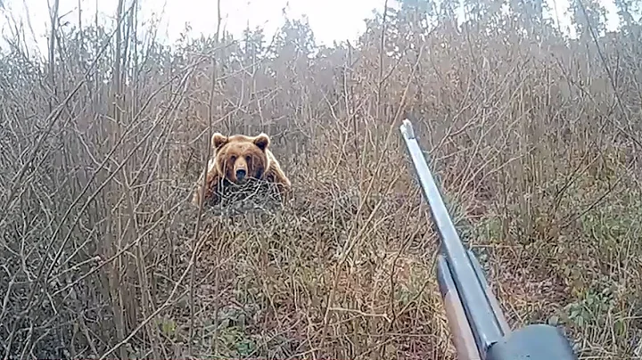 10 Scariest Bear Encounters Caught on Camera thumbnail