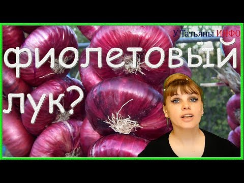 Ты, вообще, знал, что может ФИОЛЕТОВЫЙ ЛУК? Фиолетовый лук это...