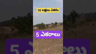 Low Price Agriculture Land Sale In Telangana 953334416616 Lakhs Acrepeddapallihyderabad soldout