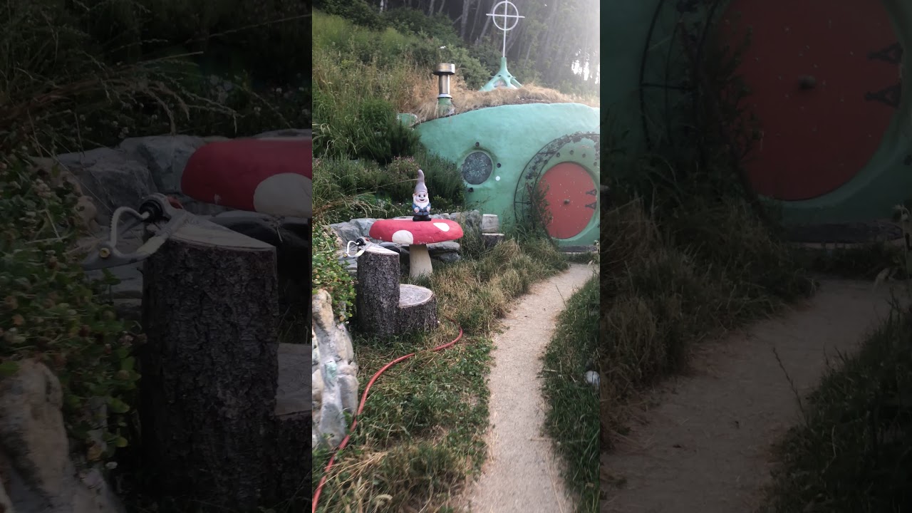 camera iphone 8 plus apk IMG 8451