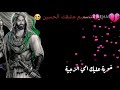 دخيلك يا سيدي يا ابا الفضل العباس
