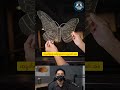 #reaction #youtube #reaction #fypシ゚viral #knowledge