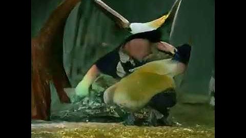 Cello suite No. 1 - Deep Music Visualizer