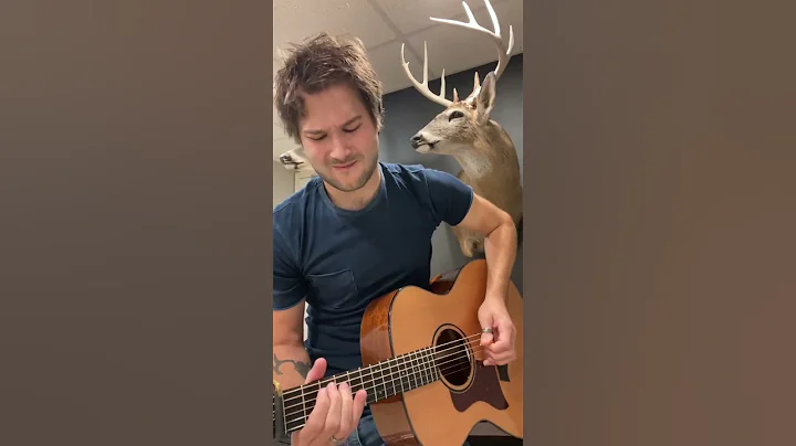 Acoustic Guitar Boot stomp 2.0 @ben_gallaher on In...