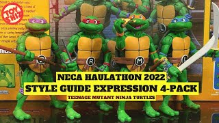 Teenage Mutant Ninja Turtles NECA Animated Series 4 Pack (Cartoon)