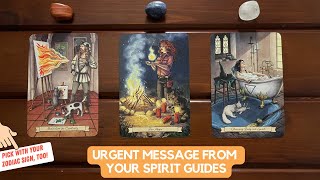 Urgent Message From Your Spirit Guides | Timeless Reading