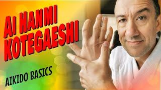 AIKIDO BASICS | AI HANMI KOTEGAESHI screenshot 4