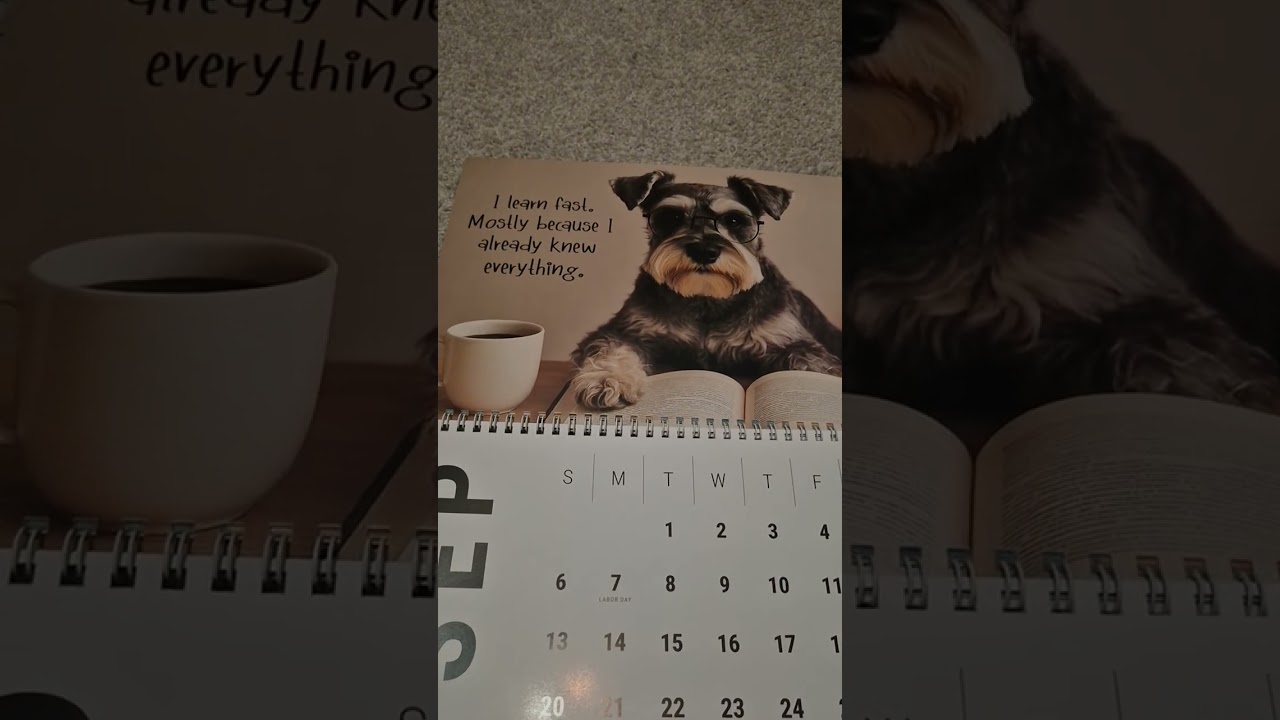 настенные календари