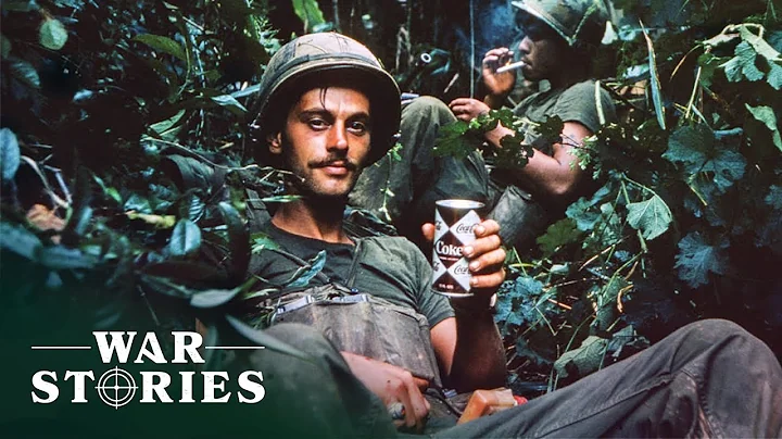 Guerilla Combat: The Harsh Reality Of An American Soldier In Vietnam | Battlezone | War Stories - DayDayNews