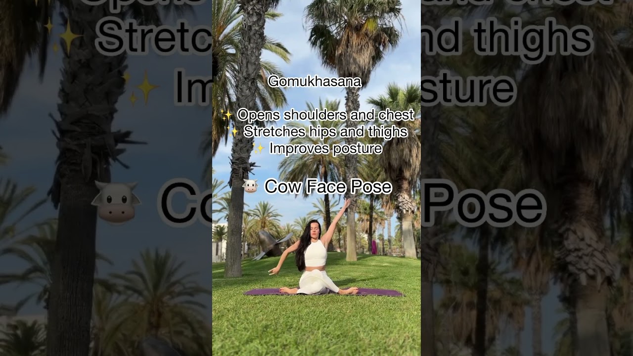 Animal Yoga easy to do 