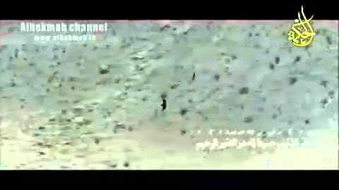 سورة الزمر الآيات من 49 إلي 55الشيخ محمد المحيسني