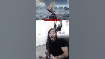 that time penguinz0 got attacked by a wasp