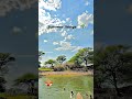 Summer Things 🌍🌴🌊 | Dinesh Chindam #ytshorts #yourubeshorts