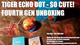 Celebrity Tiger Echo Dot Fourth Generation Unboxing - Cute Speakerphone and Desk Assistant from Amazon Net Worth