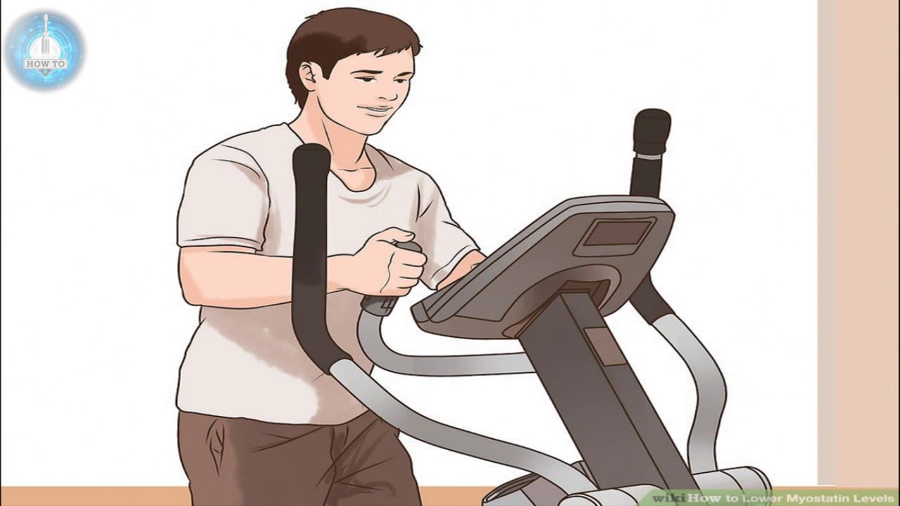 How to Lower Myostatin Levels