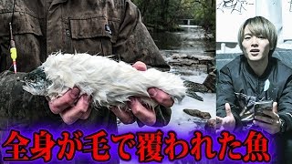 突然変異で変わり果てた魚たち【都市伝説】