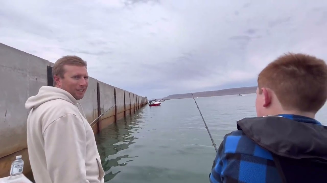 Kingfish South Australia