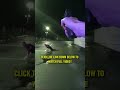 Officer Forced to Draw Weapon #bodycam #police #truecrime