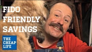 Fido Friendly Tips to Keep Pet Costs Low | The Cheap Life with Jeff Yeager | AARP