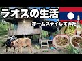 【2泊ホームステイ】ルアンパバーンの田舎に泊めてもらって1日3食付き/家畜の世話や海苔作りを見せてもらった/ラオスのもち米と家庭料理は美味しい