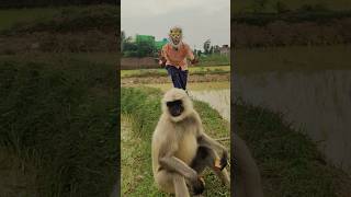 Hanuman