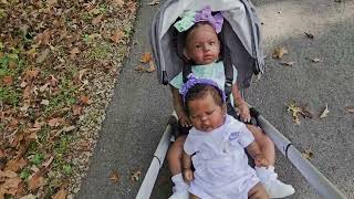 Reborn Dolly Adventure Coming w/us to Banning Mills for Mary O's Bday Cabin Trip *Prerecorded*