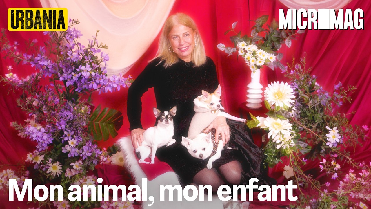 6 chihuahuas, un chien et un cochon : leurs animaux sont leurs enfants