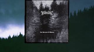Evilfeast - Lost Horizons Of Wisdom (lyrics)