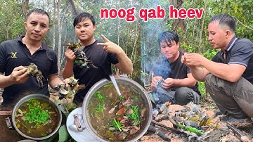 Noj nqaij noog tom hav zoov qab heev